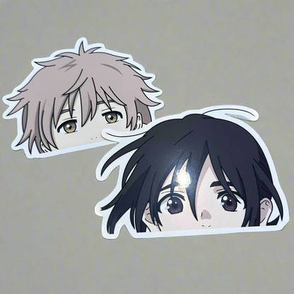 BL Car Stickers